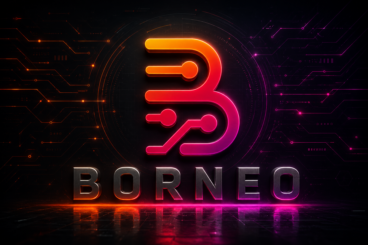 BORNEO Schematic - 3 meses 1 usuario